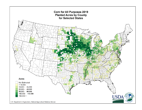Corn Grain Production by County