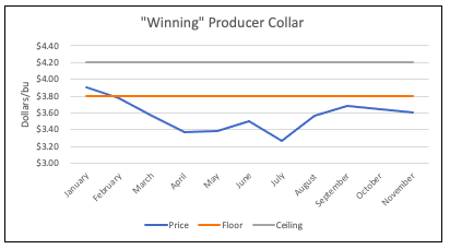 Winning producer collar hedge outcome.