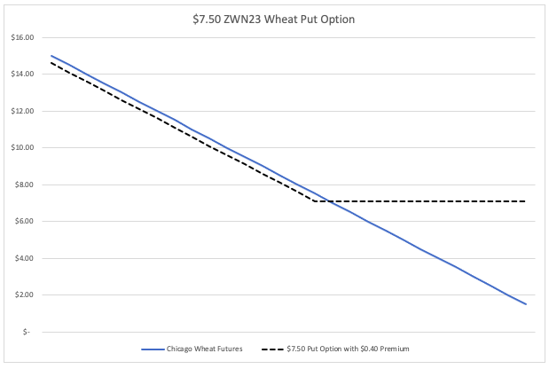 grain hedging options: put option